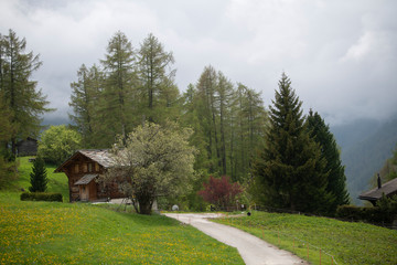 Road, house and forest in the Alpine Mountains.