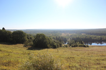 Obraz premium morning in the forest