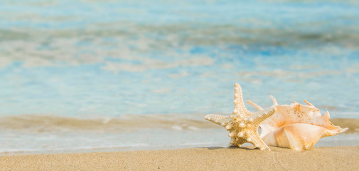 Sea Sunset, Summer background, Travel concept © Vladimir