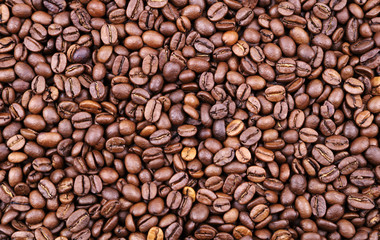 Roasted coffee beans