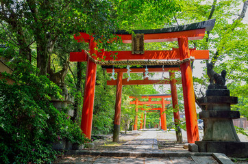 京都の竹中稲荷神社