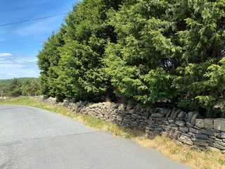 A tree lined country road with dry stone walls, and trees, high above Bradford, Yorkshire, UK