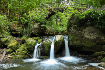 Plantlife surrounding waterfall in Luxembourg