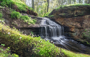 Small waterfall in the forest. Narrow creek in gorge ending in cascading water. Fallen trees covered with bright green moss. Typical limestone escarpment. Water flow through Nordic jungle. Estonia.