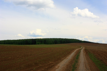 Fototapeta na wymiar Country road in the field