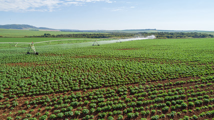 Agricultural irrigation system on sunny summer day. An aerial view of a center pivot sprinkler system.