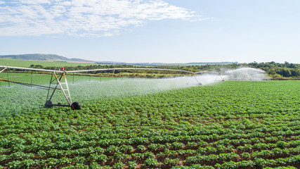Agricultural irrigation system on sunny summer day. An aerial view of a center pivot sprinkler...