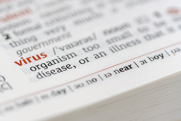 Definition of the word virus on a dictionary page