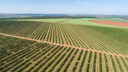Fototapeta na wymiar Aerial top view from flying drone of a Brazilian countryside land