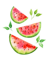 Watercolor composition with hand-drawn watermelon slices and leaves isolated on a white background.