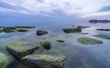 Southern coast of the Finnish Gulf. Rocks covered with green seaweed in the Baltic sea. Smooth transparent reflective water. Blue hour after sunset. Clouds concentrating in the middle. Estonia, Baltic