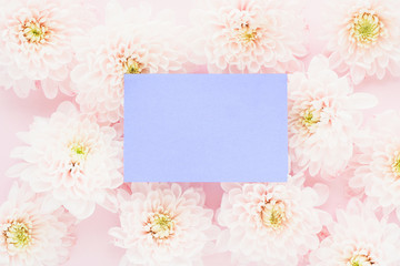 .light pink chrysanthemum flowers with yellow centers and lilac sticker. Space for copy..