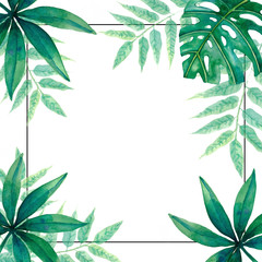 Square frame with palm and monstera leaves. Space for text. Watercolor stock illustration