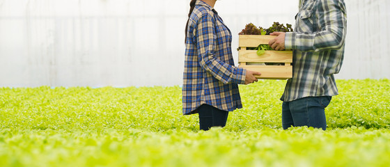 Farmer delivery vegetable in hydroponic farm for food supply chain business
