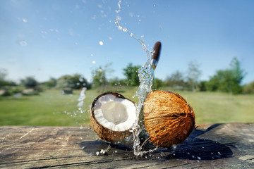 splashing coconut
