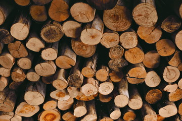stacked wood logs section view brown and orange color