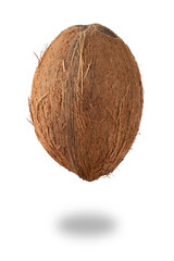 Fresh coconut isolated on white background, close up clipping object