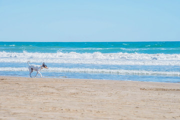 Mediterranean Sea, Valencia, Spain