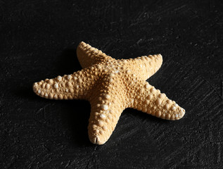 Some of sea stars isolated on black background, close up