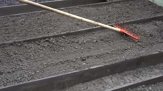 Rake level the ground before planting seeds