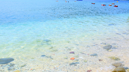 coral reef in the sea