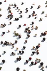 mix of allspice on white. seasoning background.