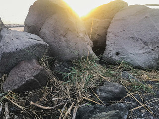 Grótta May sunset rocky view 2