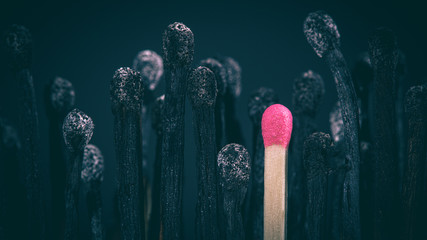 burnt matches and match still intact.