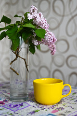 yellow mug near a vase with a plant