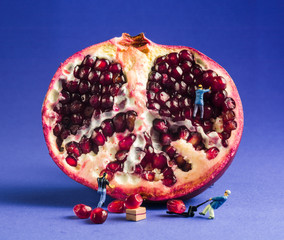 pomegranate isolated with small toy men figures