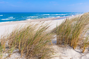 Beautiful sand beach with dry and green grass, reeds, stalks blowing in the wind, blue sea with waves on the Baltic Sea in Nida, Neringa, Lithuania