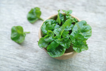 top view of watercress in wooden bowl for healthy eating 