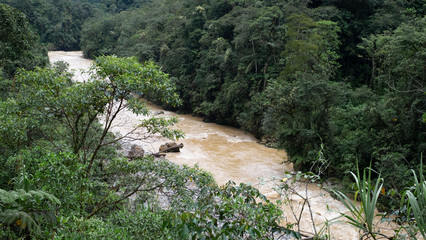 River flood inside of Podocarpus National Park, Ecuador