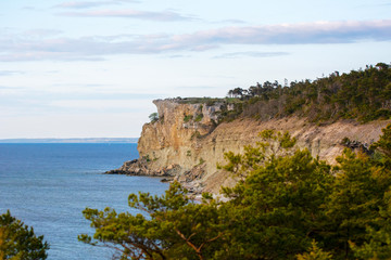Fototapeta na wymiar Eroded limestone coastline on the island of Gotland in Sweden