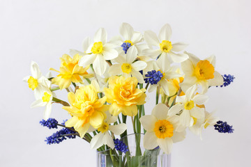bouquet of daffodils on a white background.