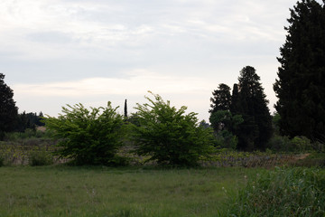 Behind my home