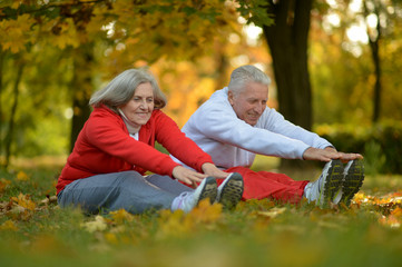 Portrait of fit senior couple exercising in park