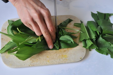 Hands cutting allium ursinum leaves on brown natural cutting board.