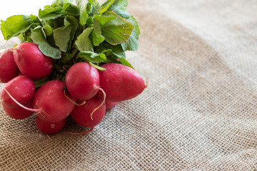 bunch of red radishes on burlap fabric 