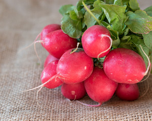 bunch of red radishes on burlap fabric 