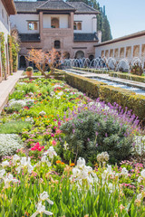 Granada, Spain - March 11, 2019: Gardens of Alhambra of Granada, Spain.