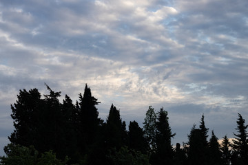 Behind my home