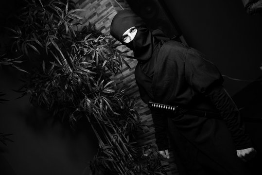 Girl in a ninja costume. Traditional samurai clothing. Artistic processing. The presence of artistic noise in the photo