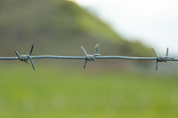 barbed wire in landscape