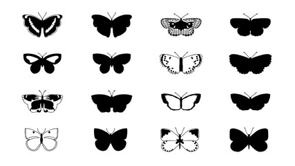 Butterflies carve, shadow and line set, Vector illustration.