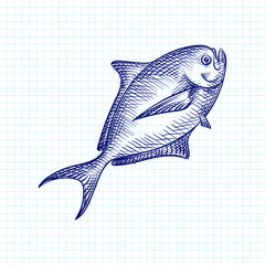 Hand-drawn sketch of sea food. Fish food. Sturgeon, Beluga, salmon, vobla, zander, herring, cod, perch, saury, sardine, flounder, mackerel, horse mackerel, anchovy, tuna