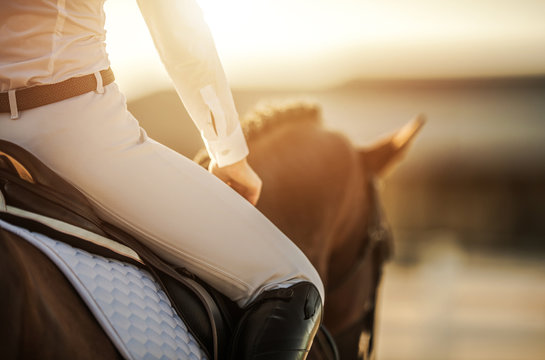 Female Horse Rider In Equestrian Facility