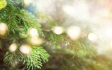 Fototapeta na wymiar Christmas tree on blurred background.