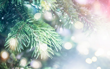 Fototapeta na wymiar Christmas tree on blurred background.