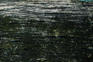 textura de madeira